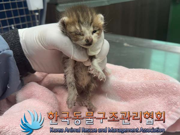한국동물구조관리협회_411304202400321