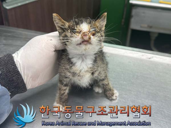 종료(자연사) 한국…