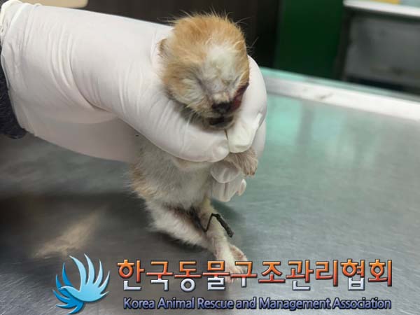 한국동물구조관리협회_441560202400665