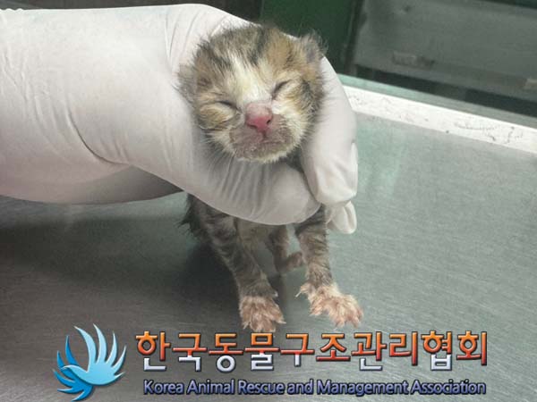 한국동물구조관리협회_441560202400664