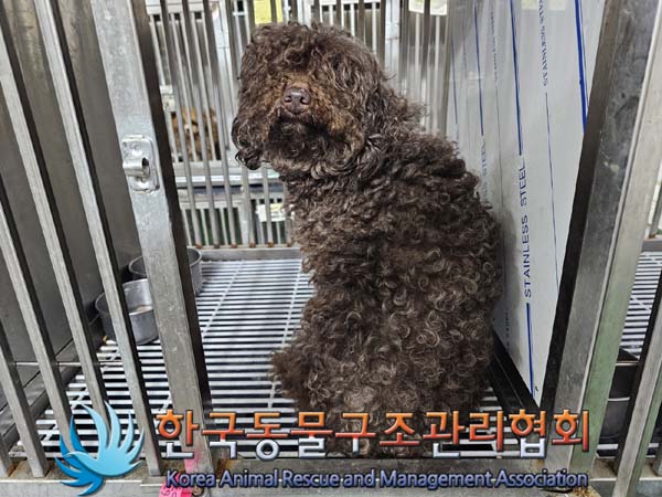 한국동물구조관리협회_411311202400542