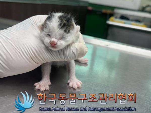 종료(자연사) 한국…