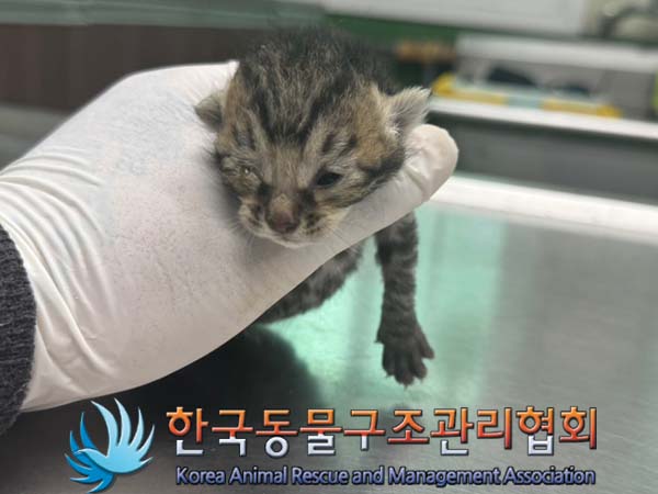 종료(자연사) 한국…