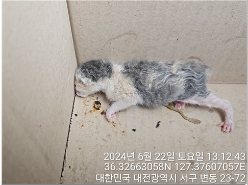 대전동물보호센터_430366202400299