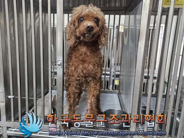 한국동물구조관리협회_411307202400317
