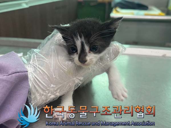 종료(자연사) 한국…