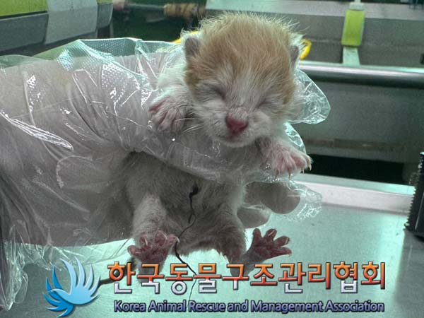 한국동물구조관리협회_411303202400265