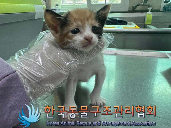 종료(자연사) 한국…