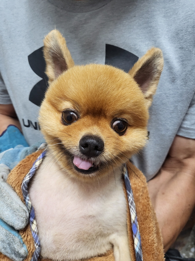 이성준동물병원_441408202400715
