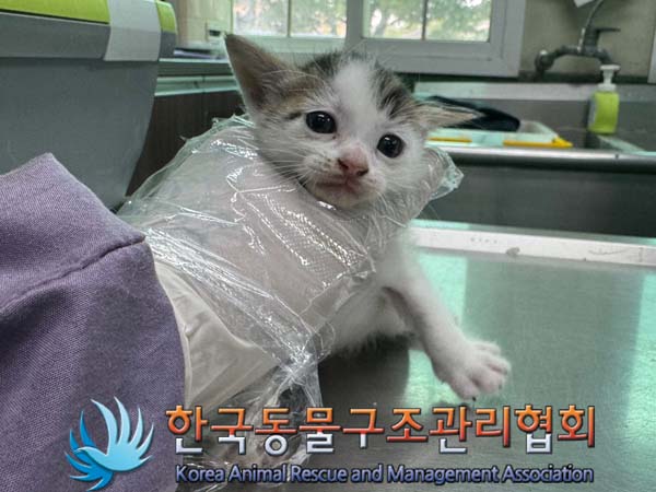 한국동물구조관리협회_441560202400671