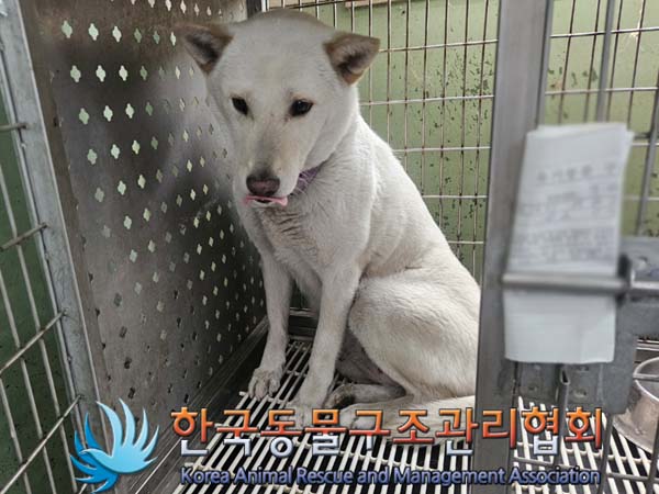한국동물구조관리협회_411300202400272