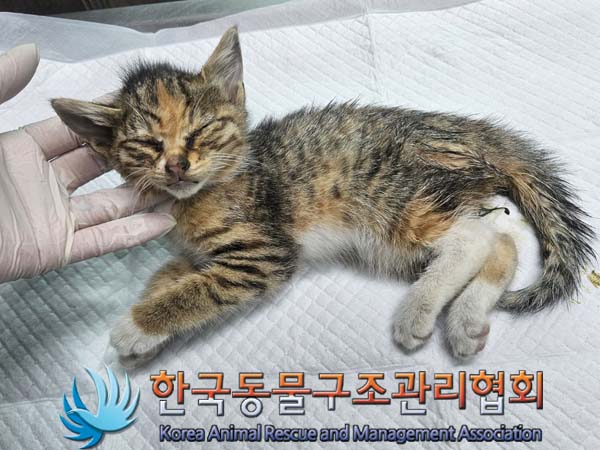 종료(자연사) 한국…