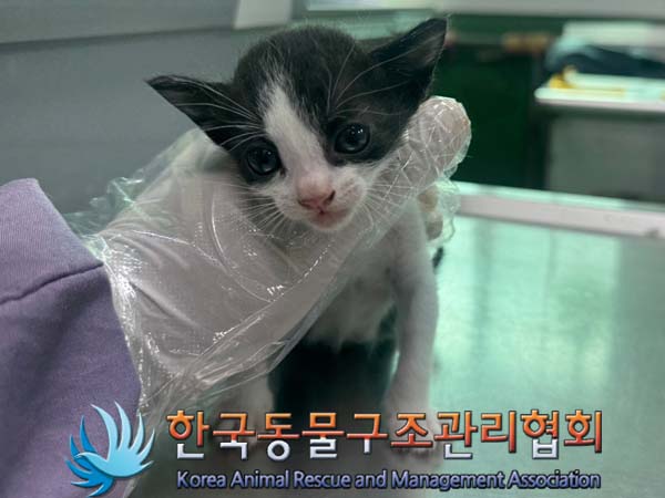 종료(자연사) 한국…