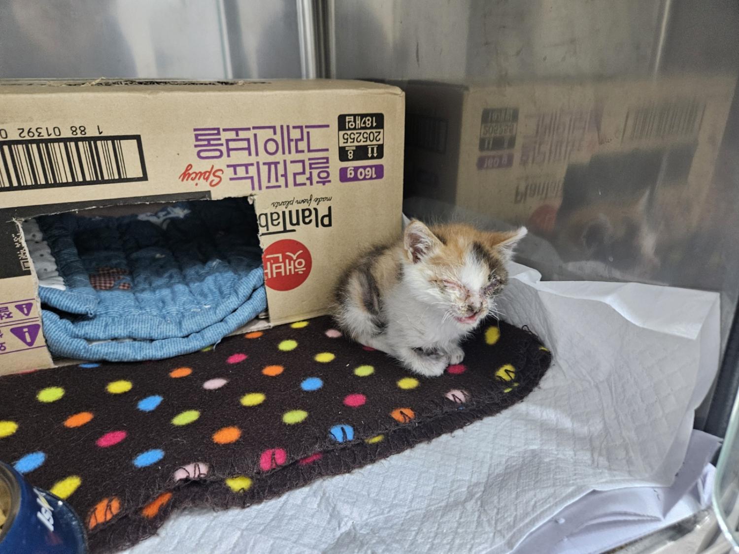 종료(자연사) 한국…