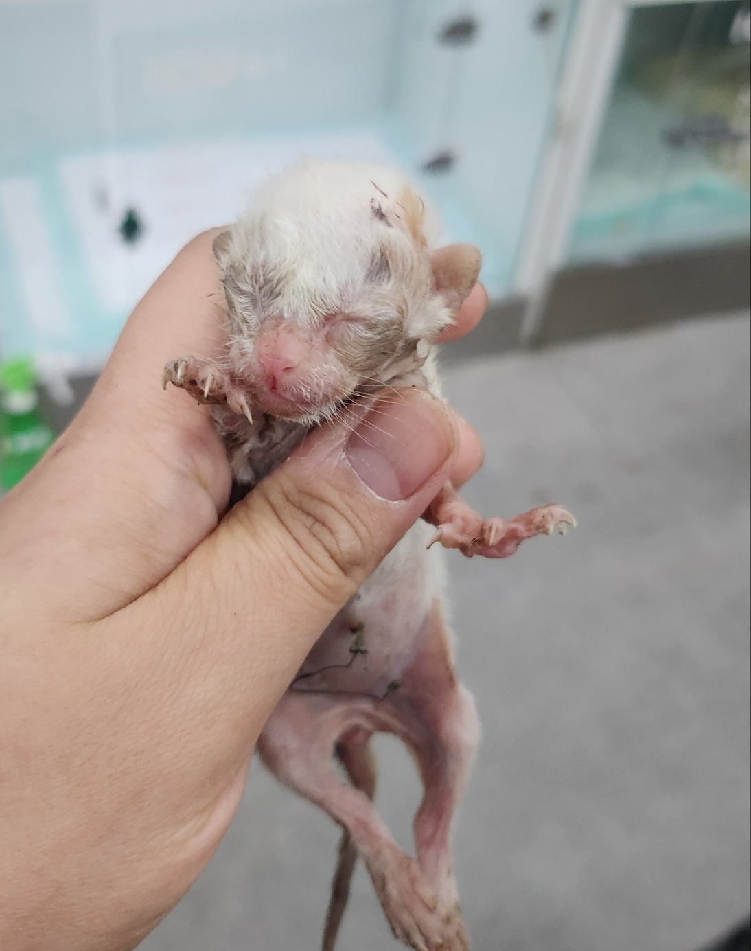 종료(자연사) 한국…