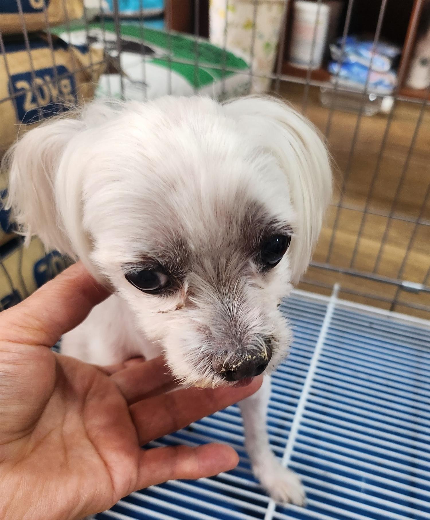 종합축산_447512202400429