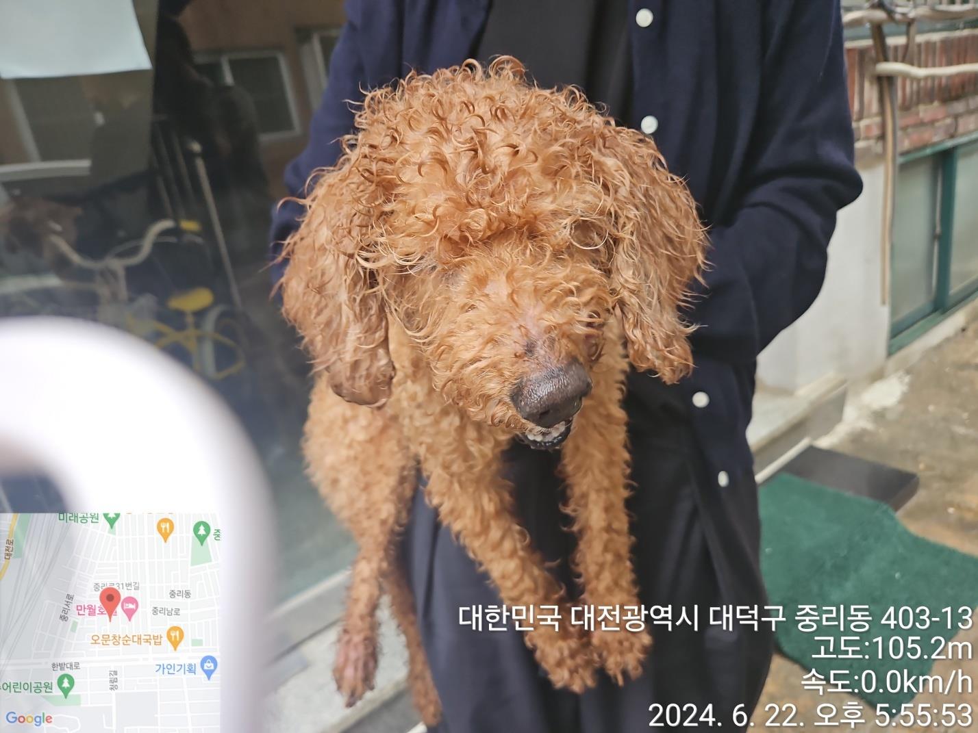 대전동물보호센터_430368202400297
