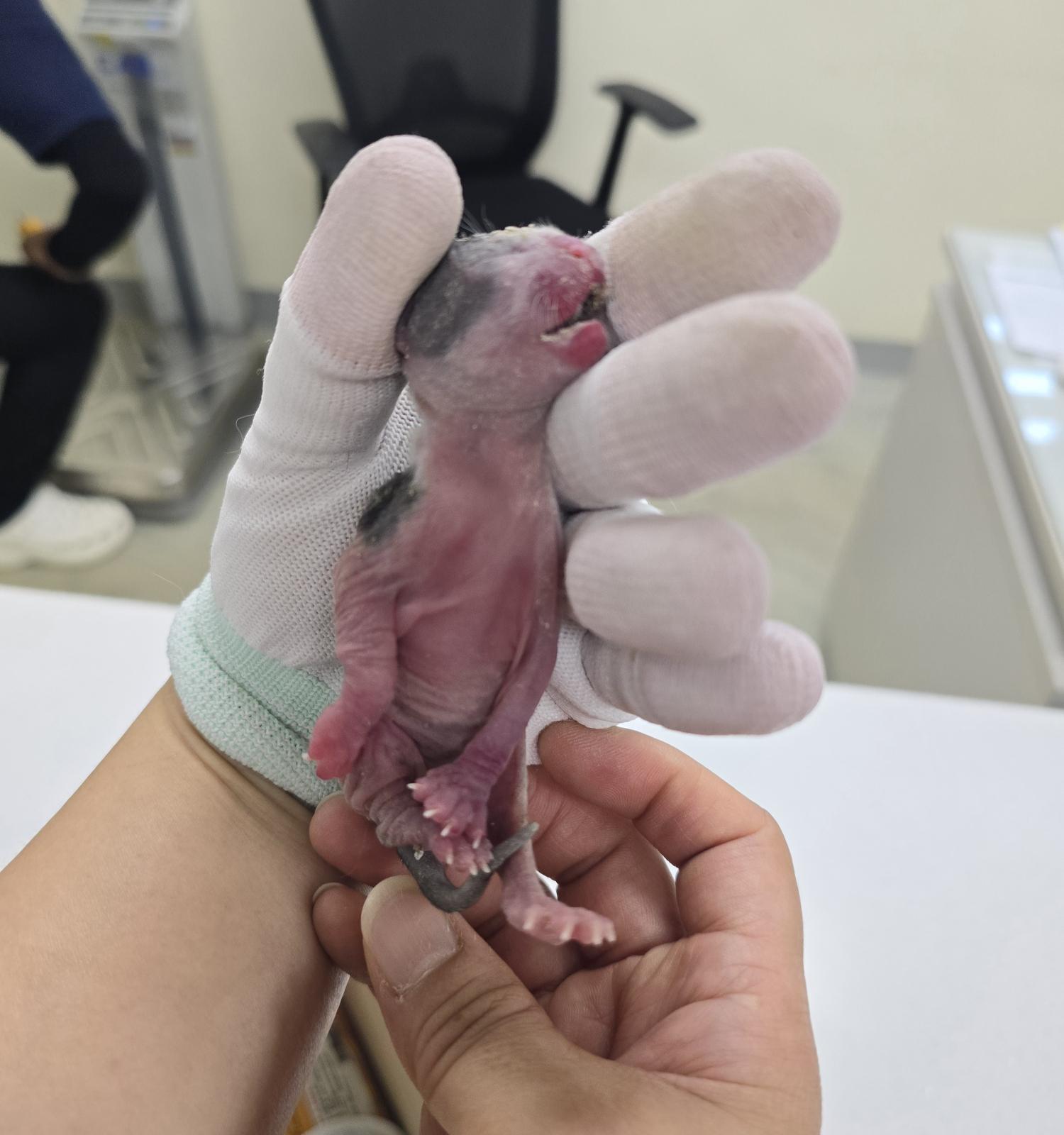 아산동물복지지원센터_444452202401739