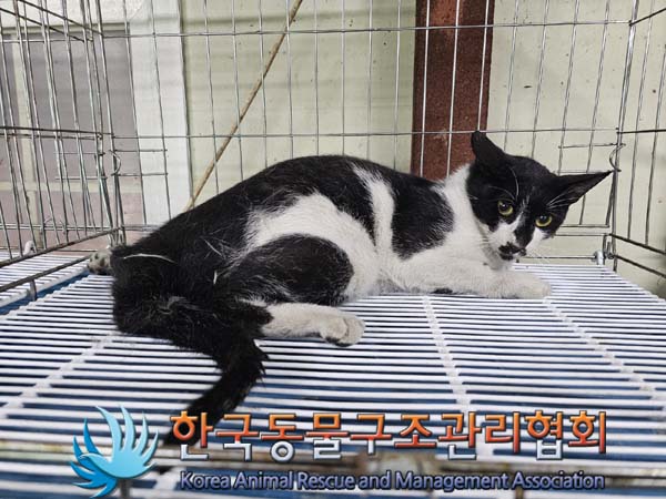 종료(반환) 한국 …