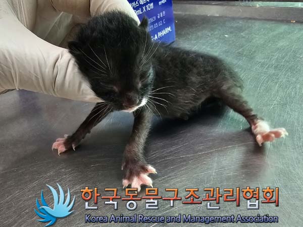 종료(자연사) 한국…