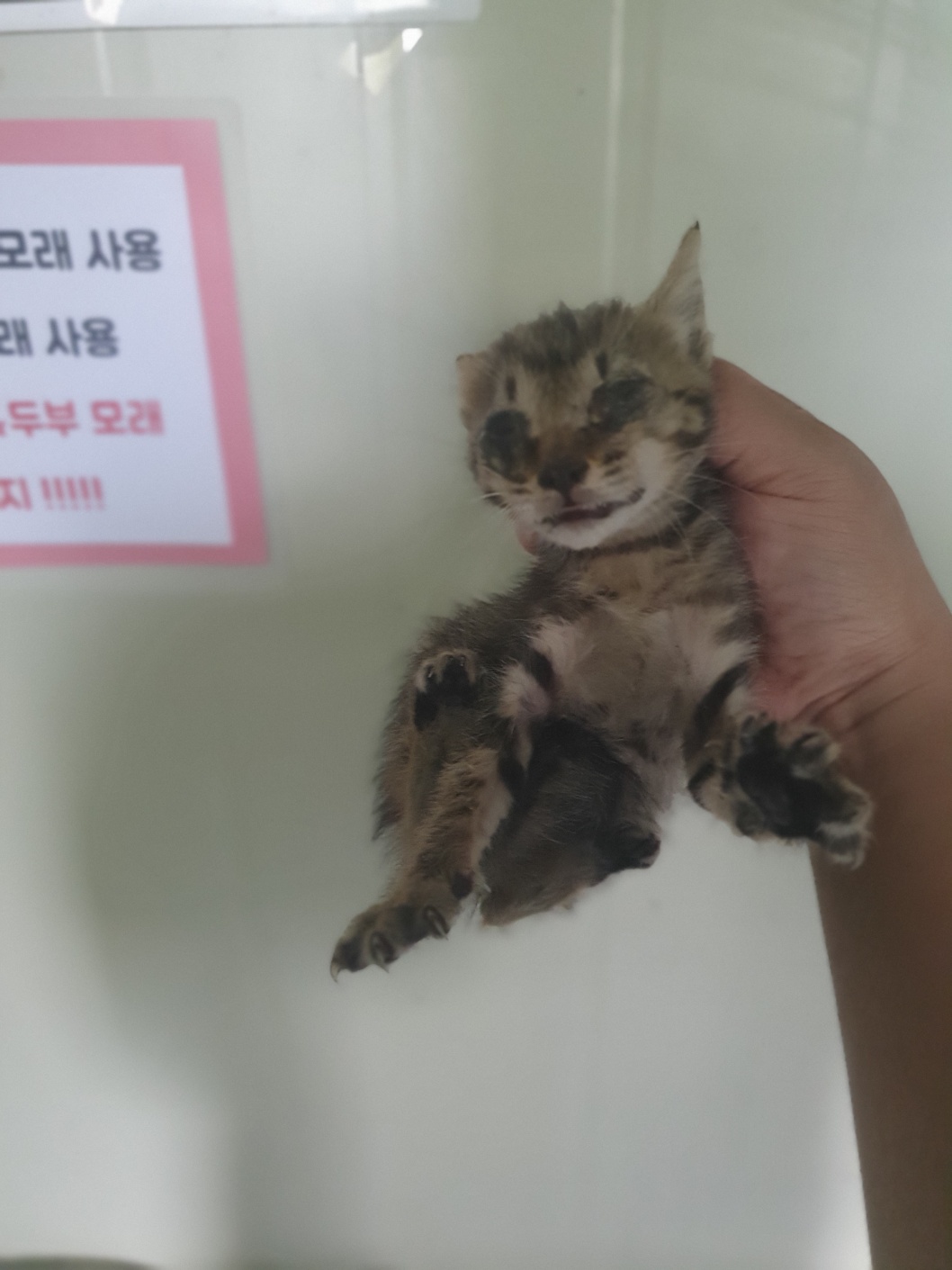 부산동물보호센터_426325202400266