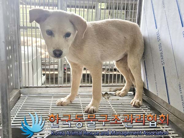 한국동물구조관리협회_441406202401132