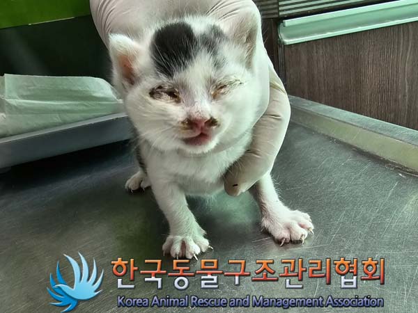 종료(자연사) 한국…