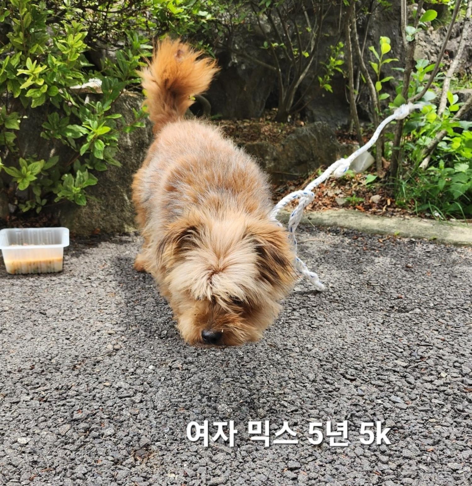 옥천동물병원_443443202400548