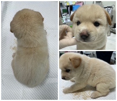 논산시 동물보호센터_444454202400544