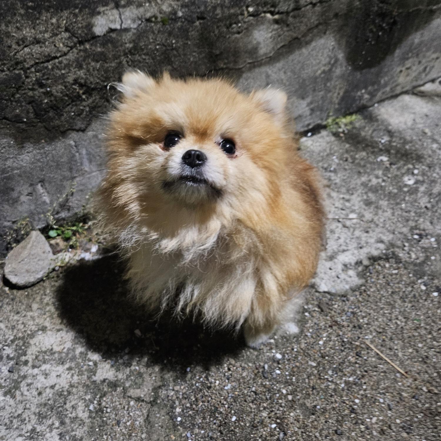 동대문구청_411305202400410