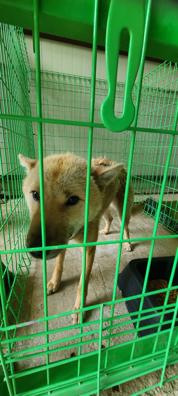 무주군_445474202400056
