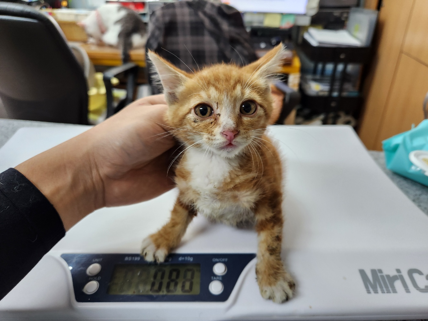 광주 동물보호소_429362202400587