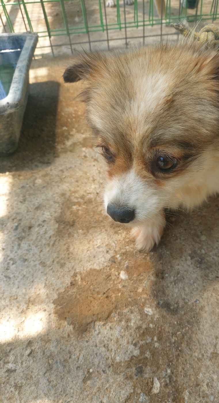 전북말산업복합센터_445471202400495