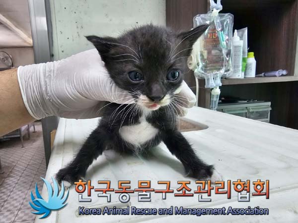 종료(자연사) 한국…