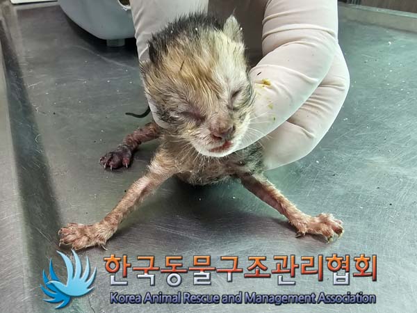 한국동물구조관리협회_411315202400352