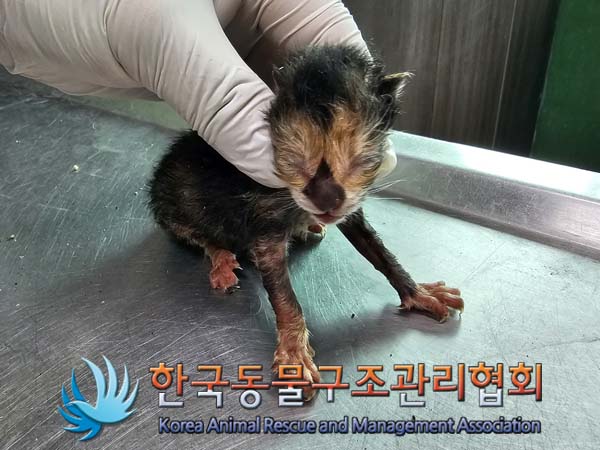 종료(자연사) 한국…