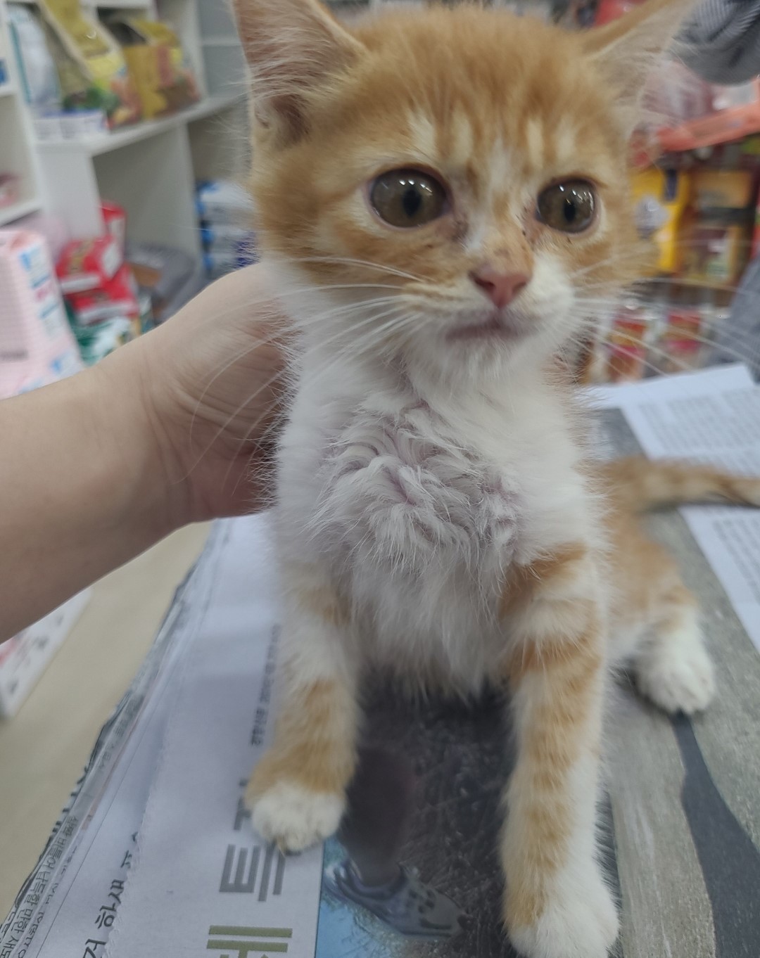 옥천동물병원_443443202400550