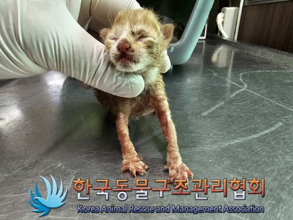 한국동물구조관리협회_411315202400355