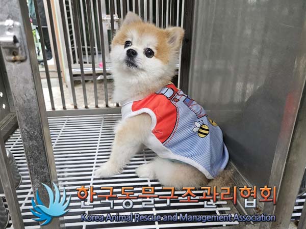 한국동물구조관리협회_411310202400536