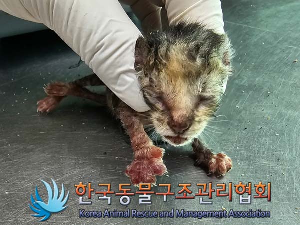 종료(자연사) 한국…