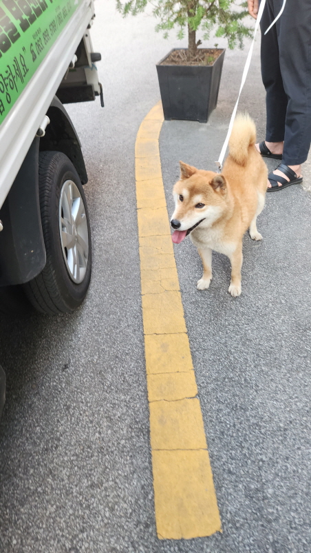 익산유기동물보호소_445468202401837