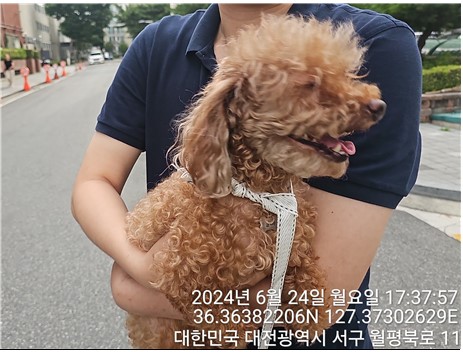 대전동물보호센터_430366202400301