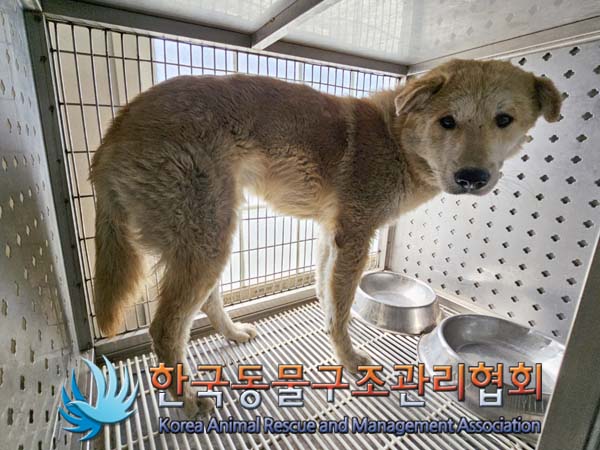 한국동물구조관리협회_441409202400946