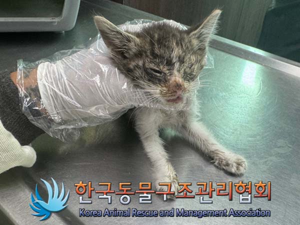 한국동물구조관리협회_411307202400320