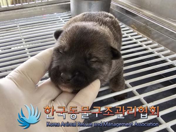 한국동물구조관리협회_441406202401163