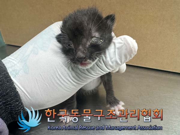 종료(자연사) 한국…
