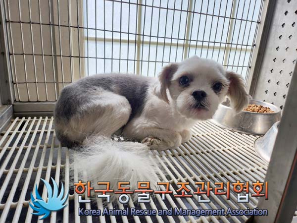 한국동물구조관리협회_441392202400194
