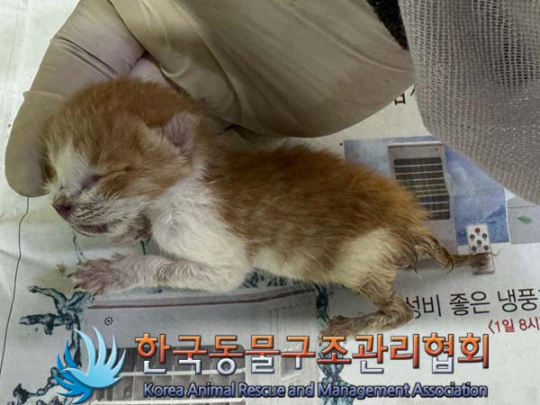 한국동물구조관리협회_411309202400199