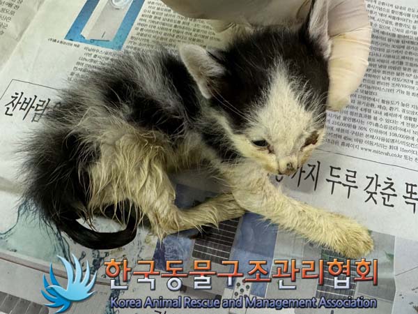 종료(자연사) 한국…