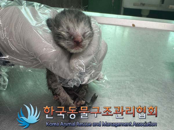 종료(자연사) 한국…